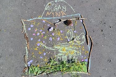 Obrázek č.22